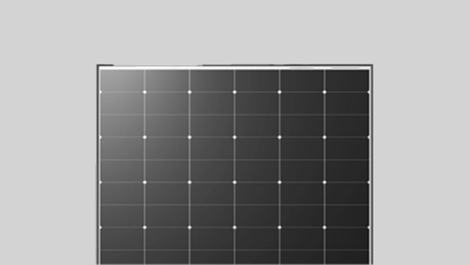 Longi Solarmodul